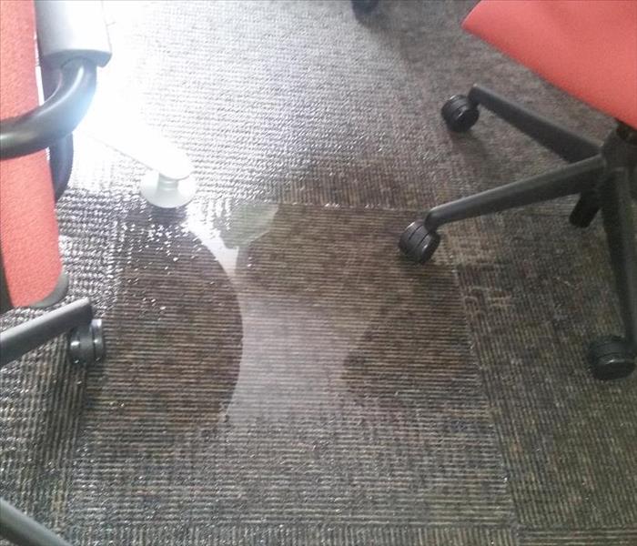 Office space with water drenched carpet.