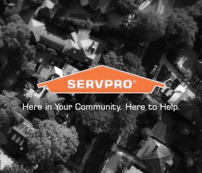 Ariel view of residential neighborhood with SERPRO logo.